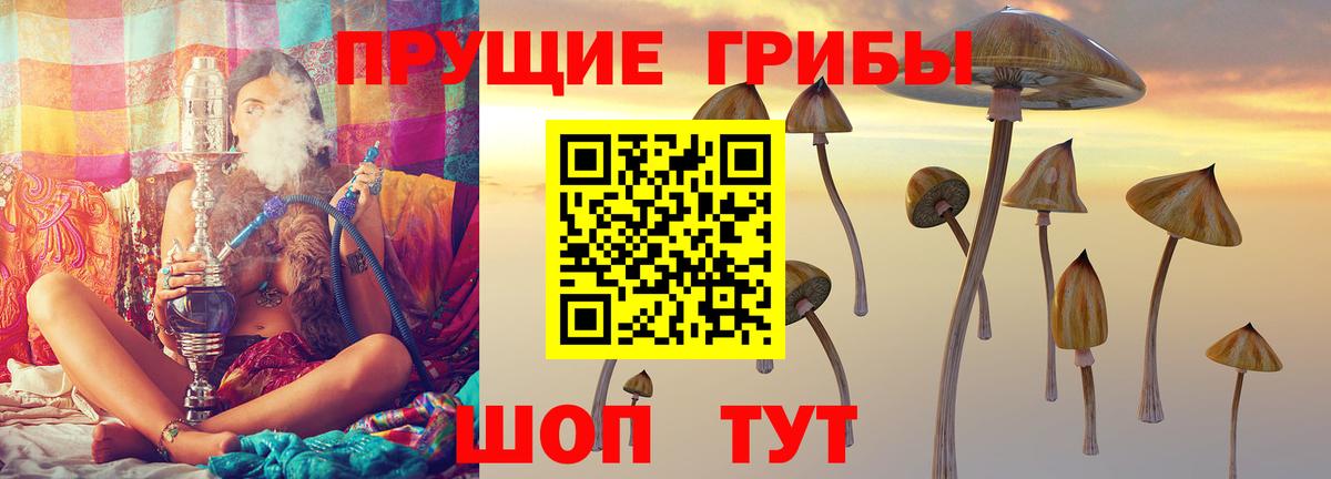 Галлюциногенные грибы MAGIC MUSHROOMS  Вход с VPN  Первоуральск 