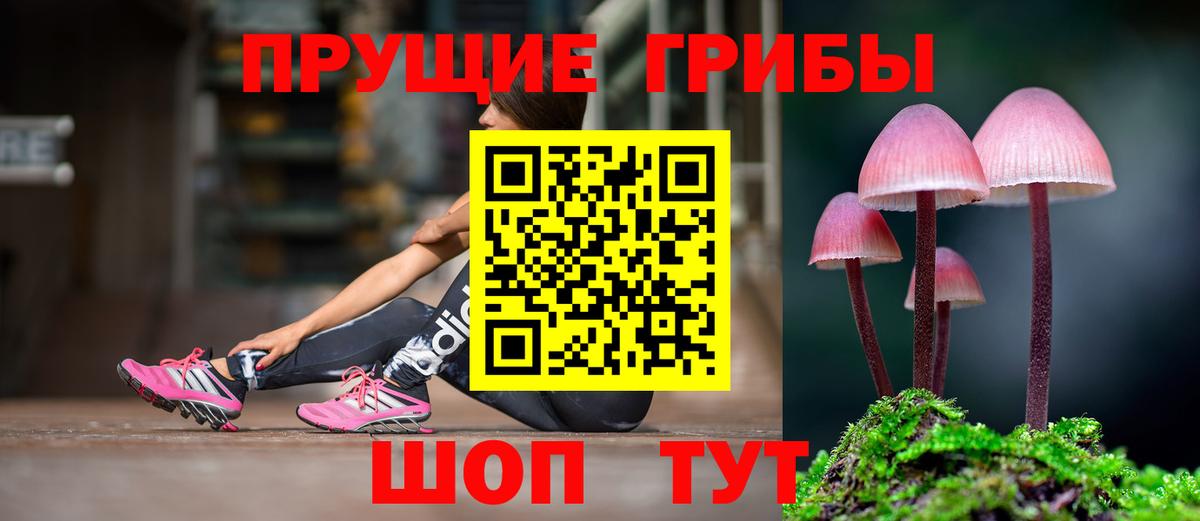 Галлюциногенные грибы прущие грибы Первоуральск